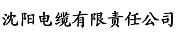 我与僧侣的交合之夜电缆厂logo